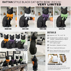 Black Cat-2